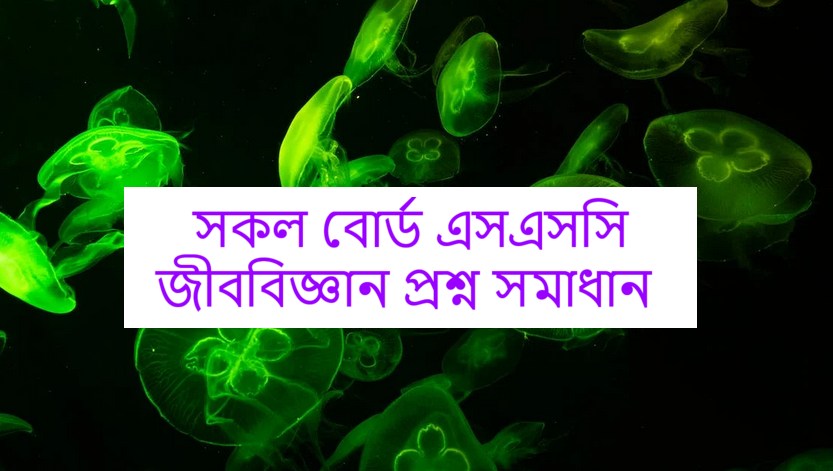  এসএসসি জীববিজ্ঞান প্রশ্ন উত্তর